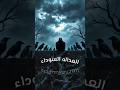 محاكم الغربان – لما الطيور تحكم بالموت! (مثير جدًا)