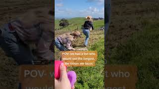 I think we were all winners really #shorts #farming #countrygirl