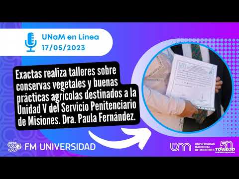 MICRO EXACTAS: Talleres