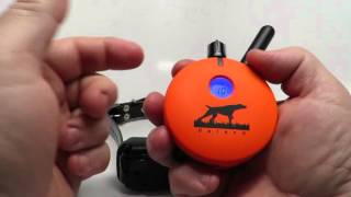 E-Collar Technologies UL-1200 Upland