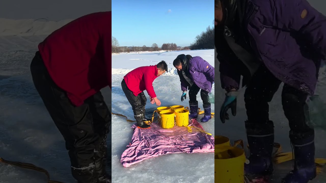 Fishing In Mohe The Northeast Joy Of Outdoor Wild Experiencex 385