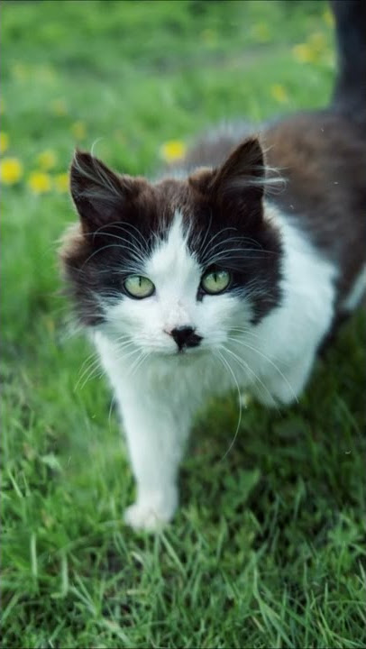 Physical Disabilities Before Birth#shorts1