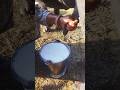 #maa ki mehnat 😭 Shorts #viral video #motivation #shahbaj fitness
