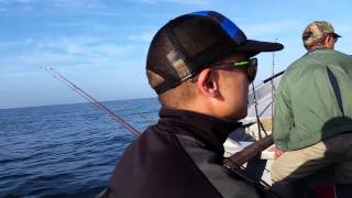 Popotla Fishing Trip