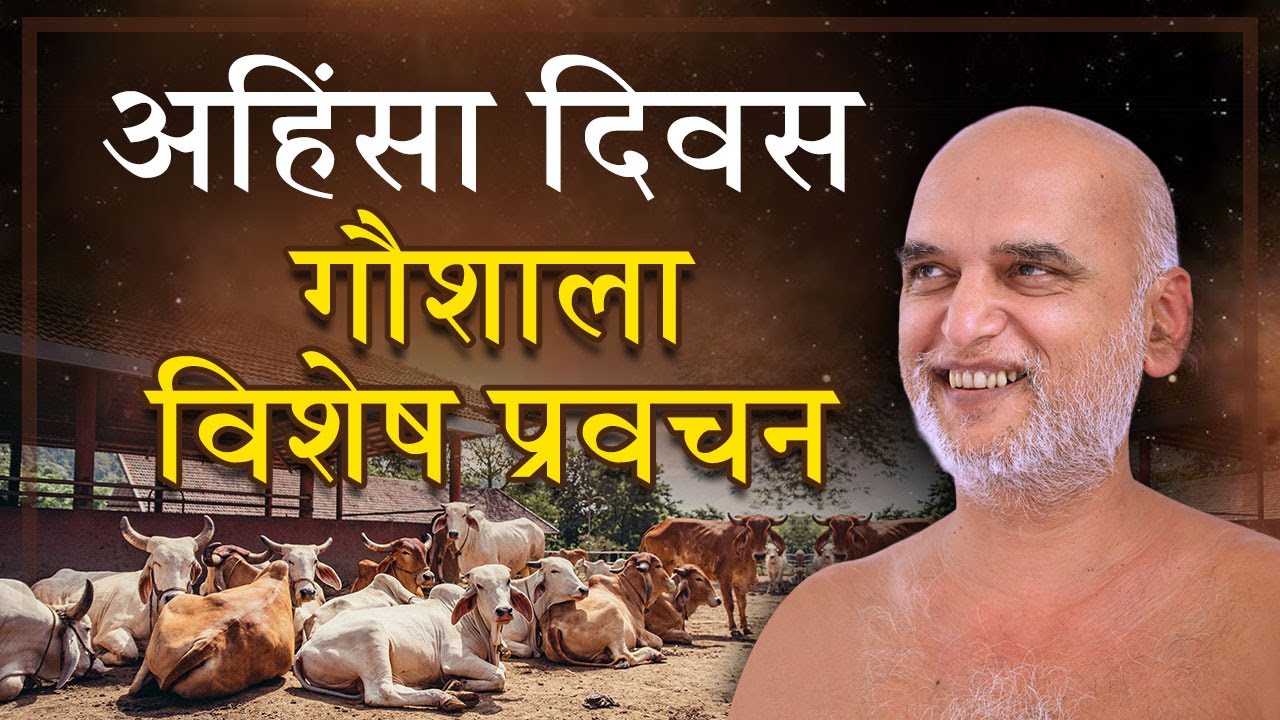 अहिंसा दिवस गौशाला विशेष प्रवचन | 02 Oct 2024 | Muni Veersagarji Maharaj