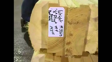 Bundled Logs and Bundle List: Appalachian Log Structures