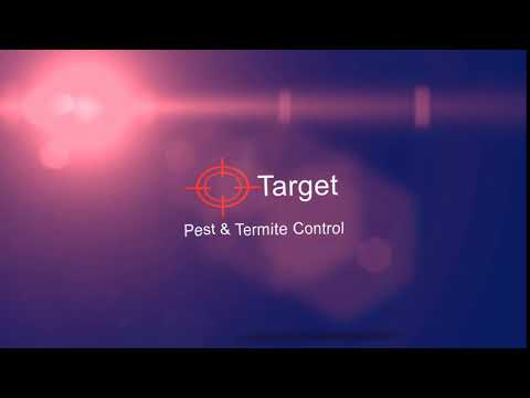 Animated logo for a pest control company