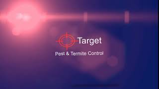 Animated logo for a pest control company