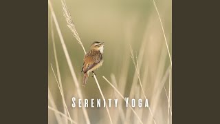 Melodic Yoga Harmony