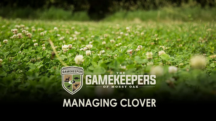 Managing Clover