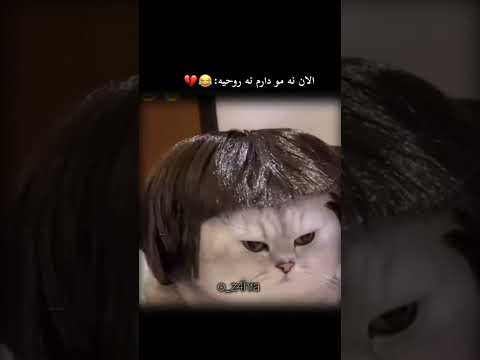 موهامو بخاطر روحیم کوتاه کردم الان نه روحیه دارم نه مو
