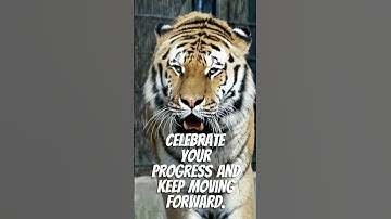 🚀 EVERY STEP COUNTS! 🌟 Celebrate Progress & Keep Moving Forward 💪