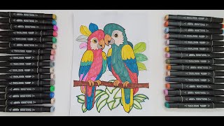 How To Draw & Color A Bird (Parrot) , 2 Most Beautiful Macaws on Planet Earth