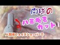 肉球のハミ毛を電動シェーバーでカットします！