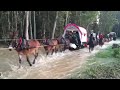 H del Rocío de Palos de la frontera por las macetas camino a la aldea.