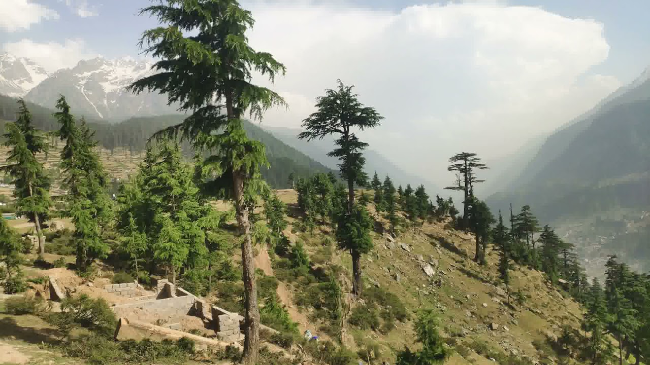 green top kalam swat