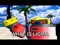 What is ligma