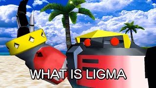 What is ligma 