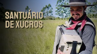  Santuário de Xucros • Cesar Filho - Gaiteiro