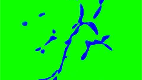 Preview 2 V5645747 Effects (Sponsored by NEIN Csupo Effects)