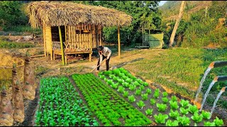 17 year old single mother: gardening  finding clean water  digging sweet bamboo shoots