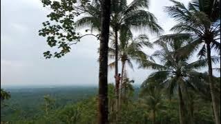 Air Nira di Puncak Tamiang Dukungan Para Bujang