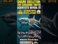 👉 😱 1️⃣ how does a Shark Had a BONES Body?! 🦈💀🔥 #ViralShorts #facts #shortsviral #reels