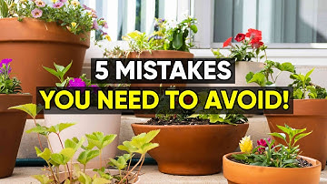 5 Container Gardening Mistakes You Should Always Avoid!
