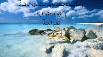 سورة ص - الدوكالي العالم - برواية قالون