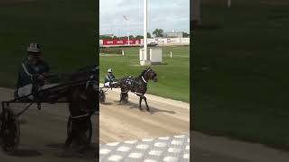 Horse Racing start in Slow Motion #horseracing #christchurch