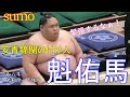 安青錦関の付け人魁佑馬君登場!初場所初日🥁魁佑馬VS多良浪【大相撲】
