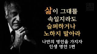 인생명언 1편 - 삶이 그대를 속일지라도 슬퍼하거나 노하지 말아라 [나래이션] | 동기부여 | 명언 | 인생조언 |오디오북 |명상 |자기개발 | 명언 모음 screenshot 5