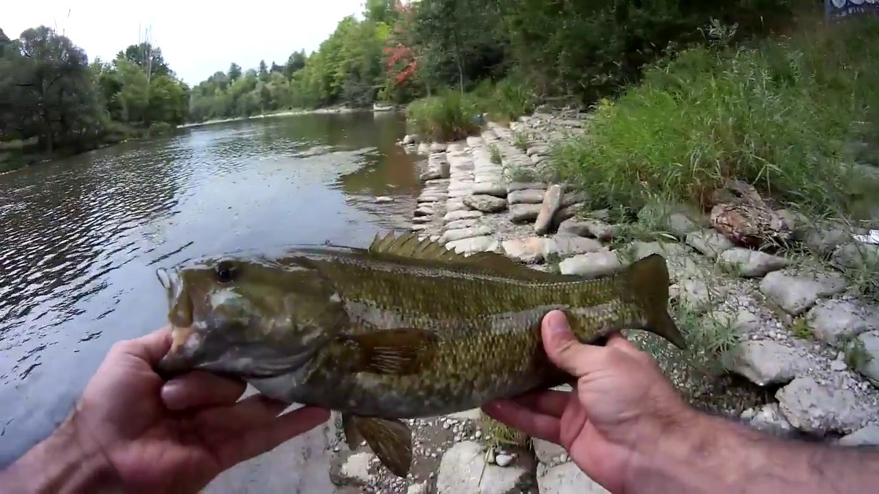 Thames river awesome day of fishing. London, Ontario - YouTube
