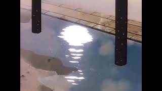 Hodgy - Barbell ( Slowed )