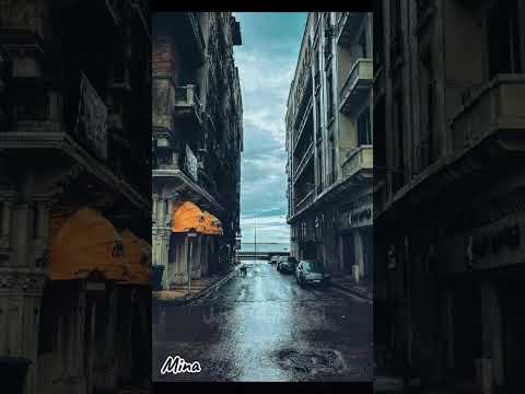 يا دنيا علميني اغاني ترند حالة السكة أحلى