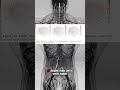 k-MTR Framework: No Image? No Problem for Cardiac AI!