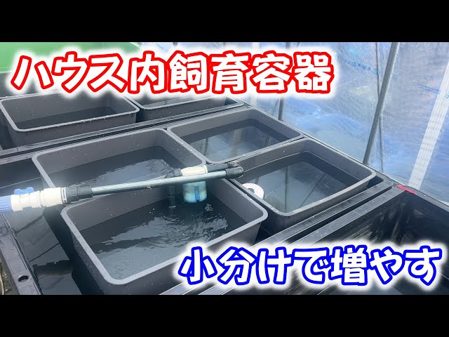 Medaka] Can you heat your room with this?! Divide it into smaller
