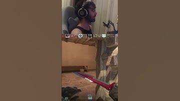 Cheating not cheating, Faceit with noobs xD | #skyoiseau on #Twitch