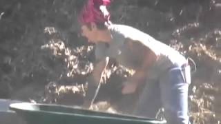 Clear Blue Commercial Turf Conversion 2014