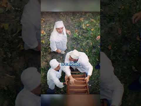 Дед поднял бунт | Мир Дружба Жвачка #рекомендации #сериал #шортс