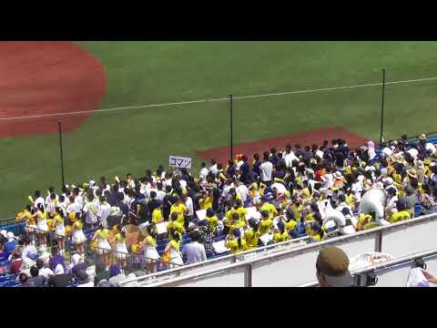 2018夏東東京大会　帝京　ドラクエ~サンバデジャネイロ~アリエル~サウスポー