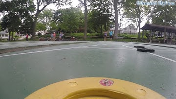 The Life of a Shuffleboard Disc