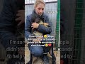 begging every kind-hearted person out there-please don't let them die. Even the smallest help mean