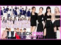 Kpop Idols Cover BLACKPINK Songs pt2