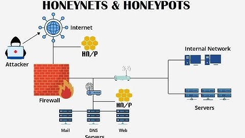 HONEYPOTS & HONEYNETS