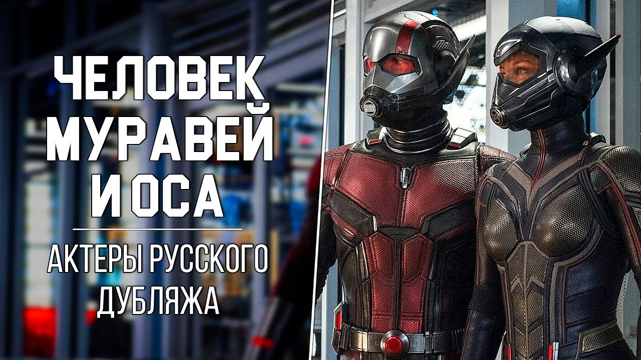 Человек-муравей и Оса – фильм 2019 года Человек-муравей и Оса – фильм 2019 года