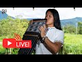 Live Flute Music from the Amazon Nature