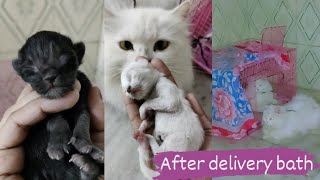 After delivery bath || baburi ki cute masti || #mirothehero #miroandbaburi