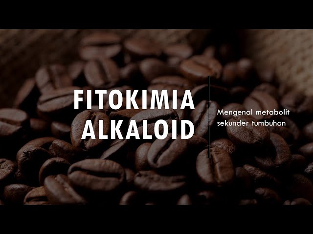 Golongan Senyawa ALKALOID Dalam Ekstrak - Mengenal Metabolit Sekunder Tumbuhan | Metode Fitokimia class=