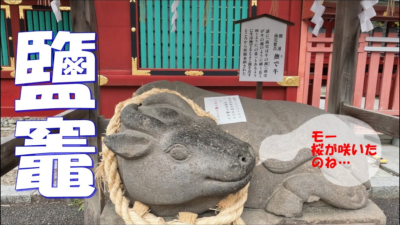 桜🌸 鹽竈神社・志波彦神社 2023.4.5 - YouTube
